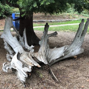 Mt. Baker Park - Parks Near Me - Seattle, Washington Mt. Baker Park - Parks Near Me - Seattle, Washington