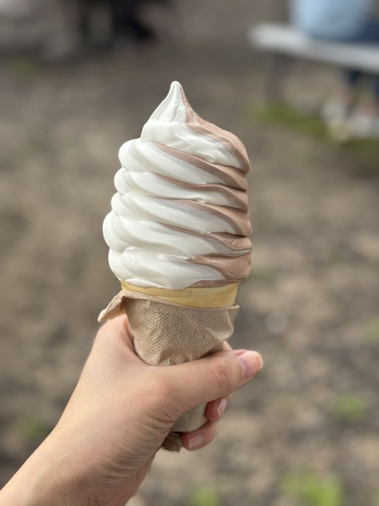 KING KONE Updated September 2024 149 Photos & 186 Reviews 109 Rte