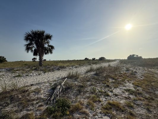 Sand Key Park by null
