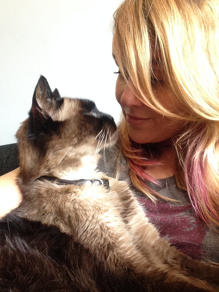 LILY’S KITTY CARE TEMP. CLOSED Updated September 2024 20 Reviews