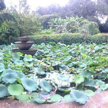 Rip Van Winkle Gardens - Fountain in the gardens.... Lilly pads - Venues & Event Spaces Near Me - New Iberia, Louisiana Rip Van Winkle Gardens - Fountain in the gardens.... Lilly pads - Venues & Event Spaces Near Me - New Iberia, Louisiana