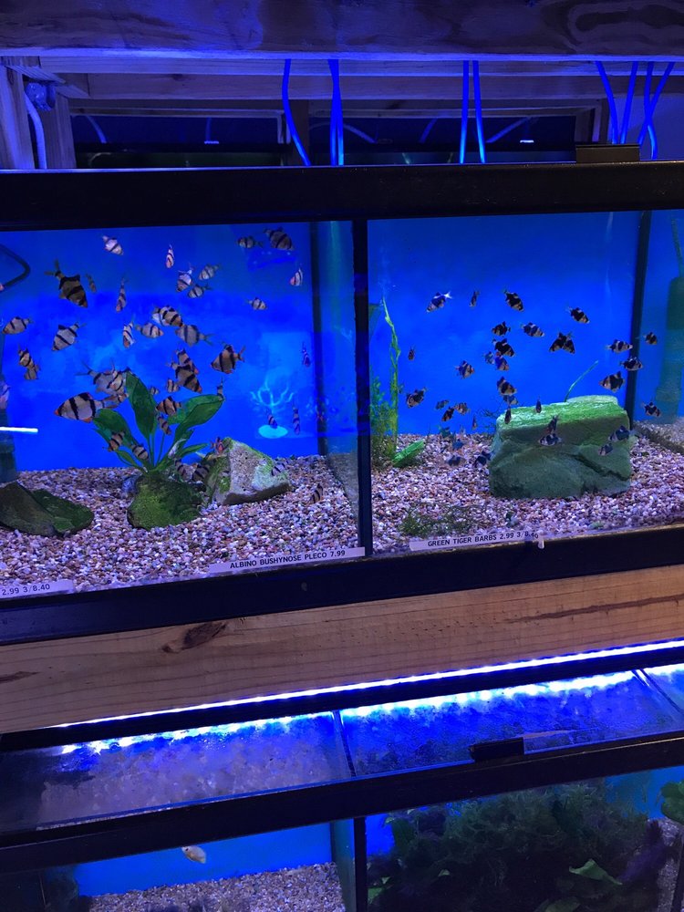 AUSTIN AQUADOME 68 Photos & 106 Reviews Pet Stores 1604 Fortview