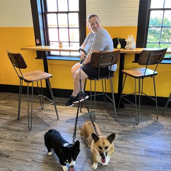 Bubblebee - They allowed my doggies! - Bubble Tea Near Me - Fredericksburg, Virginia