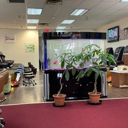 Dolan Nail Spa - Salon