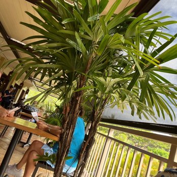 Tommy Bahama - Patio area - Seafood Near Me - Kihei, Hawaii Tommy Bahama - Patio area - Seafood Near Me - Kihei, Hawaii