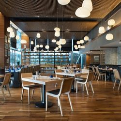 The Dish Room Restaurant & Terrace Bar - General