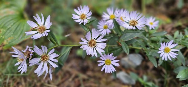 Sue-meg State Park by null