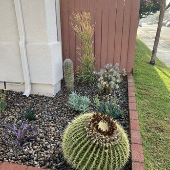 MC Landscaping - Landscaping Near Me - Lakewood, California