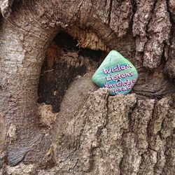 Baxter Woods - Wisdom on rocks at Baxter Woods
