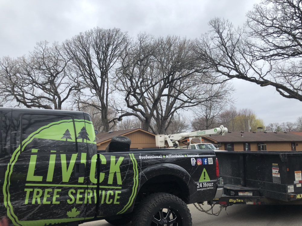 LIVICK TREE SERVICE Updated August 2024 3112 Royal Rd, Janesville