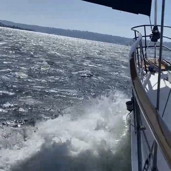 SailingRTW - Under sail cruising towards Point Loma - Boating Near Me - San Diego, California SailingRTW - Under sail cruising towards Point Loma - Boating Near Me - San Diego, California