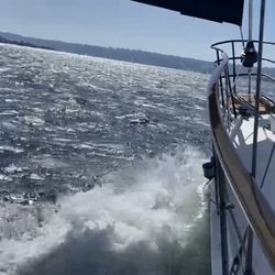 SailingRTW - Under sail cruising towards Point Loma