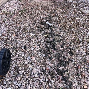 Andy's Pooper Scooper - Dog poop he had picked from another house and dumped it all over the front side of our house!! - Pet Waste Removal Near Me