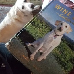 Here's Daisy in person and on the cover of a book