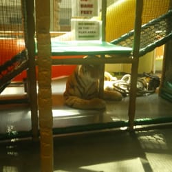 Go Bananas - A crouching tiger
