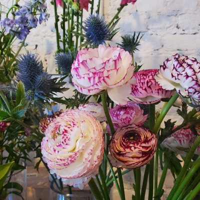 Hops Petunia Floral by null
