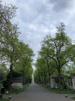Brompton Cemetery by null