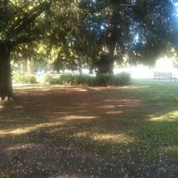 Parque Ferrera - Rincones matutinos