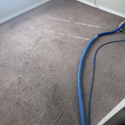 Coastal Carpet & Tile Cleaning - Cleaner carpet!