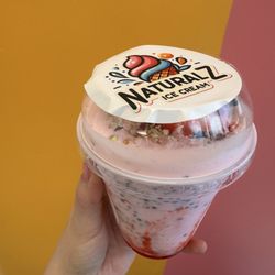 Naturalz Ice Cream - San Antonio - Rose falooda