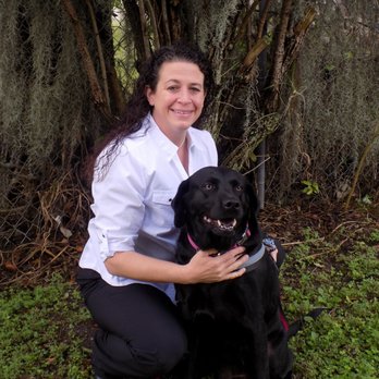 VCA Ormond Beach Animal Hospital - Veterinarians Near Me - Ormond Beach, Florida VCA Ormond Beach Animal Hospital - Veterinarians Near Me - Ormond Beach, Florida