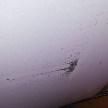 Bed Bugs All Gone - Pest Control Near Me Bed Bugs All Gone - Pest Control Near Me