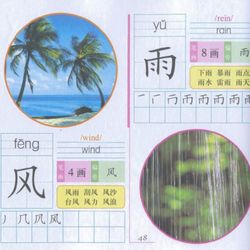 Vivid Education - 汉语字帖