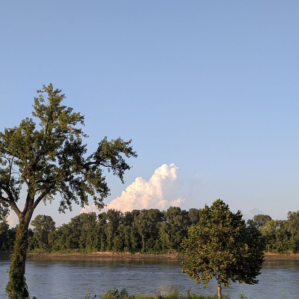 Riverside view from the patio Riverside view from the patio