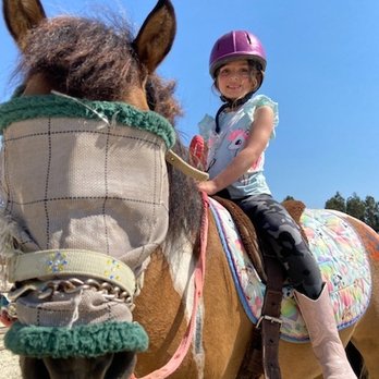 Jeanette Arnaout Training - Horse - Horseback Riding Near Me - Gilroy, California Jeanette Arnaout Training - Horse - Horseback Riding Near Me - Gilroy, California