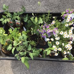 Geremia Gardens