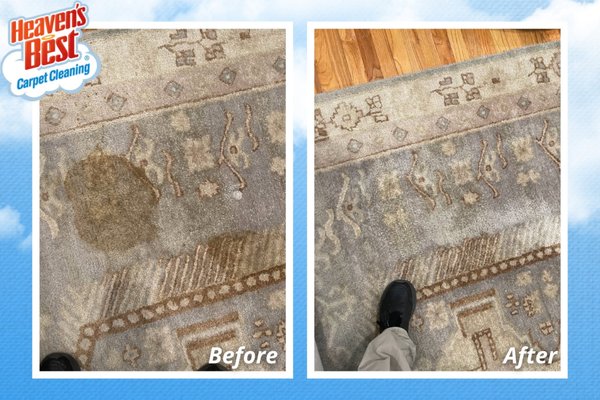 🫧✨ Rug Cleaning - Think of how defenseless your poor area rug really is. It's subject to dust, dirt, mud, odors, oils, and even pet accidents, ash from smoke, and spills from glassware. You spot clean it and vacuum it, but is it really enough to neutralize germs, bacteria, and discoloration that go along with an assault of foot traffic? Parents in particular know the answer to that question. Add it up day after day, year after year, and you'd probably think twice about walking on your area rug with your bare feet, never mind sitting on it.
Still, you need a cleaning that will be tough on dirt—not your rug. That's where expertise comes in. Maintaining your rug's condition and appearance should not be secondary to concerns of cleanliness. A proper rug cleaning delivers both.
Rest assured, Heaven's Best has been perfecting rug cleaning since 1983. Here's what we've found. A proper rug cleaning is just as much about your family's health as it is about preserving the rug's integrity and design. That includes color, texture, and material. Our rug cleaning will prolong the life of your investment while keeping your family healthy. It's important to note here, not all cleaning methods will be compatible with the rugs in your home. At Heaven's Best, we take great care to ensure that the method we use is well-matched to your own individual rug. 🫧✨ Rug Cleaning - Think of how defenseless your poor area rug really is. It's subject to dust, dirt, mud, odors, oils, and even pet accidents, ash from smoke, and spills from glassware. You spot clean it and vacuum it, but is it really enough to neutralize germs, bacteria, and discoloration that go along with an assault of foot traffic? Parents in particular know the answer to that question. Add it up day after day, year after year, and you'd probably think twice about walking on your area rug with your bare feet, never mind sitting on it.
Still, you need a cleaning that will be tough on dirt—not your rug. That's where expertise comes in. Maintaining your rug's condition and appearance should not be secondary to concerns of cleanliness. A proper rug cleaning delivers both.
Rest assured, Heaven's Best has been perfecting rug cleaning since 1983. Here's what we've found. A proper rug cleaning is just as much about your family's health as it is about preserving the rug's integrity and design. That includes color, texture, and material. Our rug cleaning will prolong the life of your investment while keeping your family healthy. It's important to note here, not all cleaning methods will be compatible with the rugs in your home. At Heaven's Best, we take great care to ensure that the method we use is well-matched to your own individual rug.
