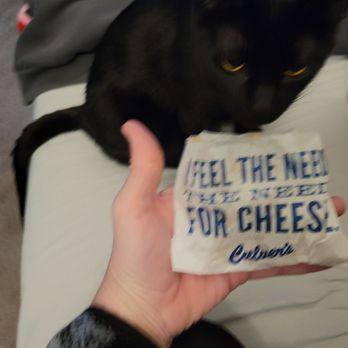 Culver's - Fries and a nosey cat - Fast Food Near Me - Whitestown, Indiana