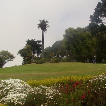Lafayette Park - Dog Parks Near Me - San Francisco, California Lafayette Park - Dog Parks Near Me - San Francisco, California