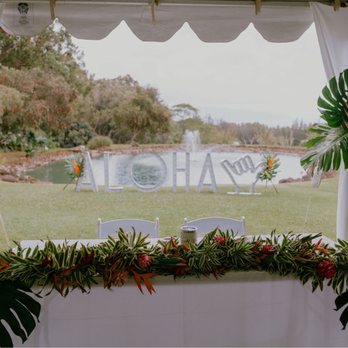 Palm Palm Parties & Events - Party Equipment Rentals Near Me