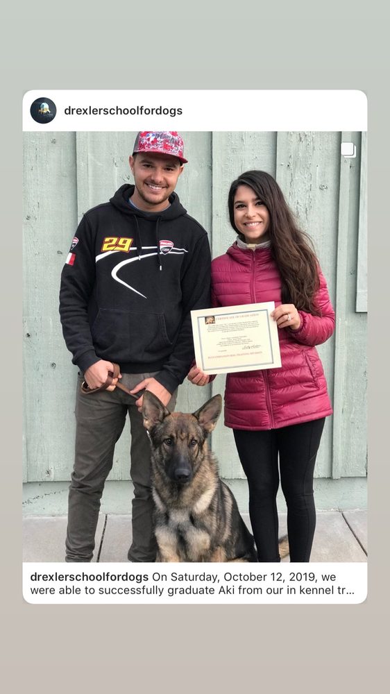 RUDY DREXLER’S SCHOOL FOR DOGS Updated September 2024 50947 County