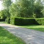 Photo of Les Marronniers