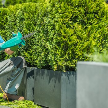 Mowtivated Lawn Care Services - Shrub Prunning - Lawn Services Near Me Mowtivated Lawn Care Services - Shrub Prunning - Lawn Services Near Me