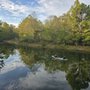 Photo of Cabin By the Pond