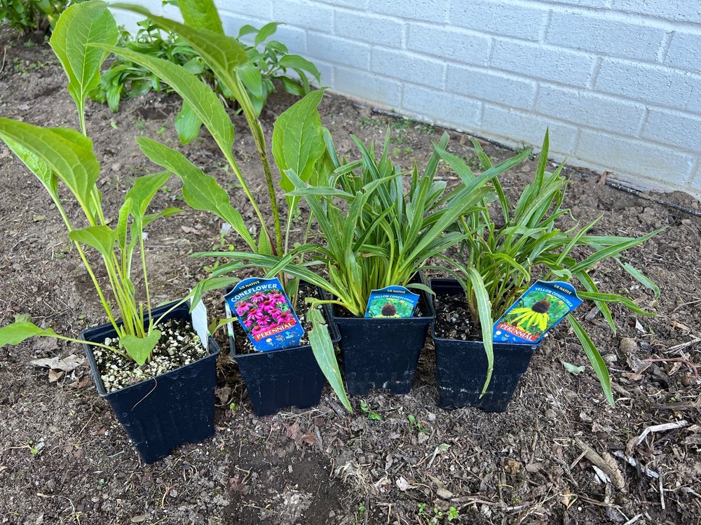 BAKER’S ACRES GREENHOUSE Updated September 2024 19 Photos & 15