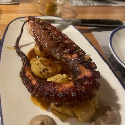 Octopus leg Octopus leg