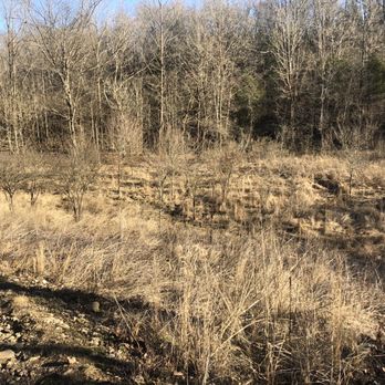 Wild Hyacinth trail - Hiking Near Me - Louisville, Kentucky Wild Hyacinth trail - Hiking Near Me - Louisville, Kentucky