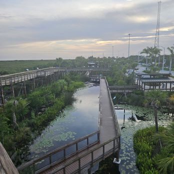 Everglades Elevated Boardwalk - Landmarks & Historical Buildings Near Me - Weston, Florida Everglades Elevated Boardwalk - Landmarks & Historical Buildings Near Me - Weston, Florida