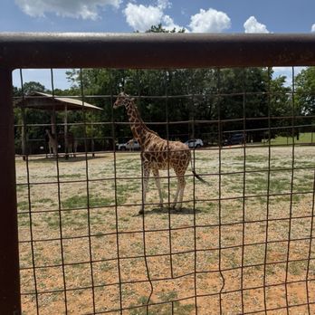 Lazy 5 Ranch - Zoos Near Me - Mooresville, North Carolina