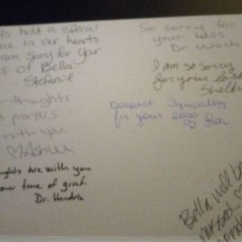 VCA Lecanto Animal Hospital - Kind thoughts of condolences. - Veterinarians Near Me - Lecanto, Florida VCA Lecanto Animal Hospital - Kind thoughts of condolences. - Veterinarians Near Me - Lecanto, Florida
