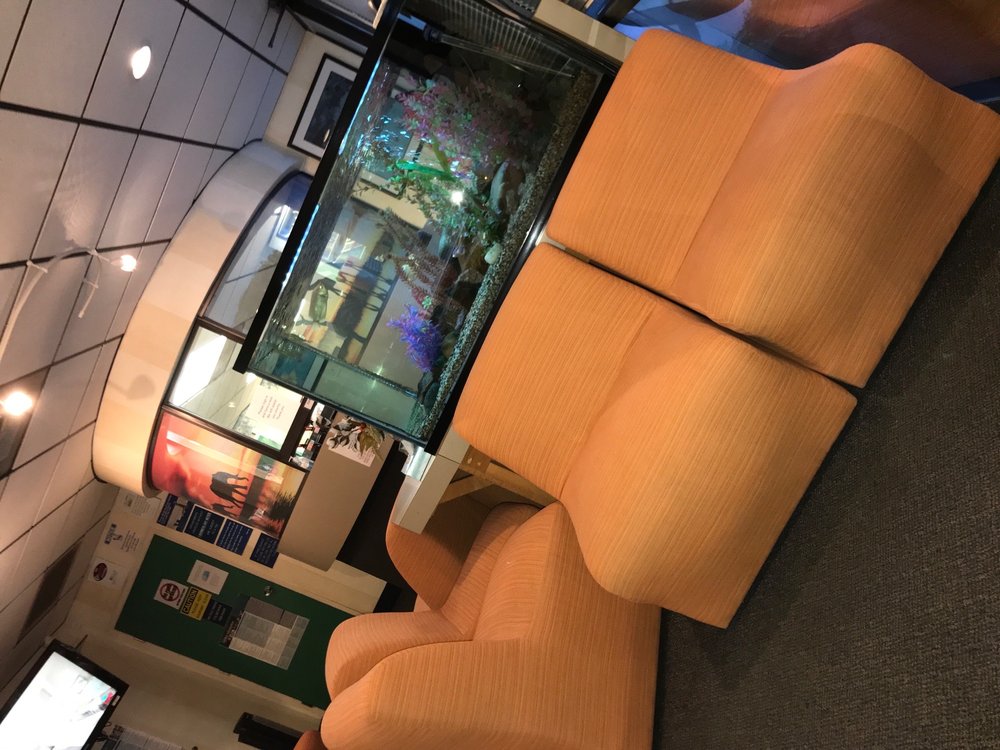 LAUNSPACH & CHEY PEDIATRIC DENTISTRY Updated August 2024 25 Reviews