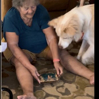 Texas Humane Heroes - Bo's 2nd Birthday Pawty.... - Animal Shelters Near Me - Leander, Texas Texas Humane Heroes - Bo's 2nd Birthday Pawty.... - Animal Shelters Near Me - Leander, Texas