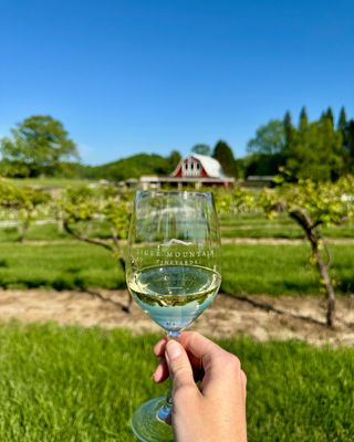 Tiger Mountain Vineyards & Wedding Venue by null