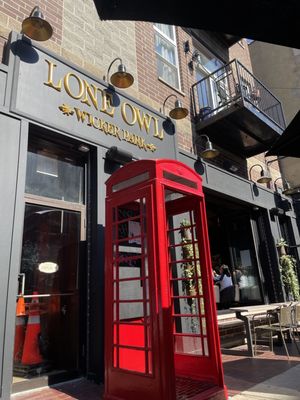 Lone Owl by null