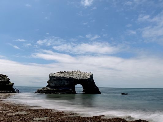 Natural Bridges State Beach by null