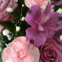 Crooked-Halo - Bouquet from a friend